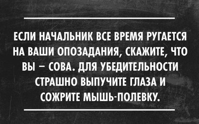 Yk2ZChea6Cc.jpg