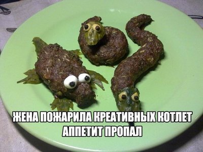 _8iUj_Wo75M.jpg
