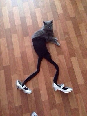 d.jpg