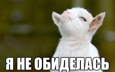 hRz_Pjk8yeM.jpg
