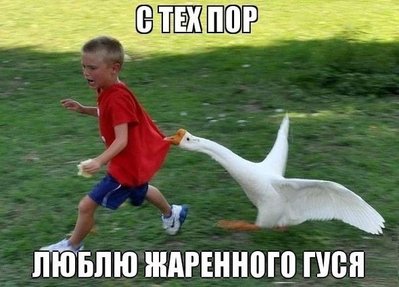pIAMW_8SEaA.jpg