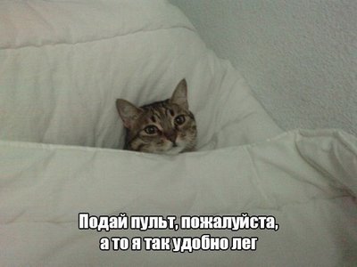 uqLo21OTE0g.jpg